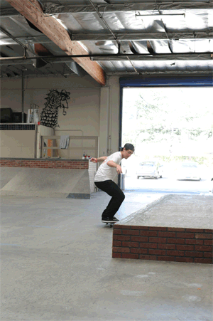 Mike Mo Capaldi - fakie 5-0, fakie 360 flip out